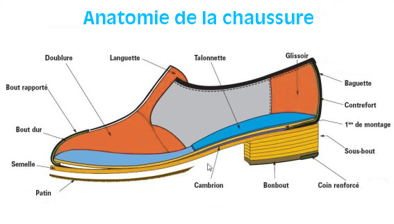 infographie anatomie d'une chaussure